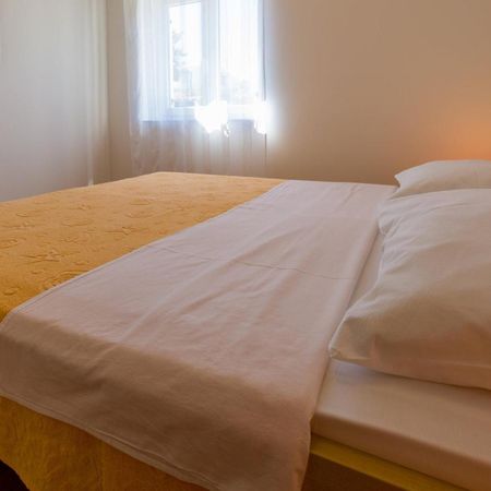 Dakovic Tihana Šilo Zimmer foto